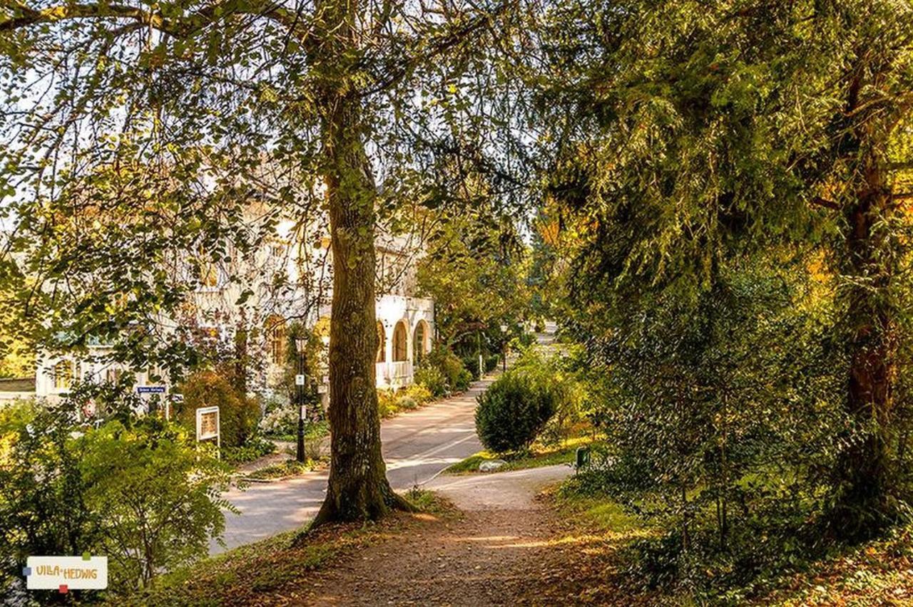 Villa Hedwig Badenweiler Buitenkant foto